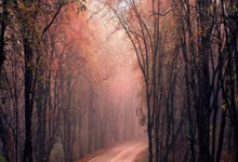 三角洲-传奇透视自瞄物资辅助