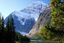 三角洲行动辅助-寒霜透视自瞄物资辅助