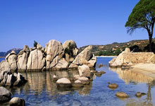 三角洲行动琉璃透视自瞄辅助 